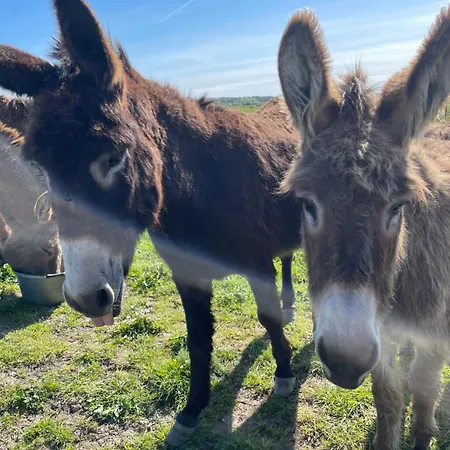 La Ptite Pause Πανσιόν