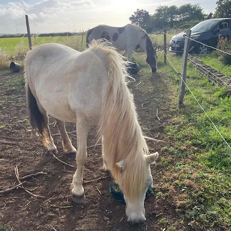 La Ptite Pause Πανσιόν