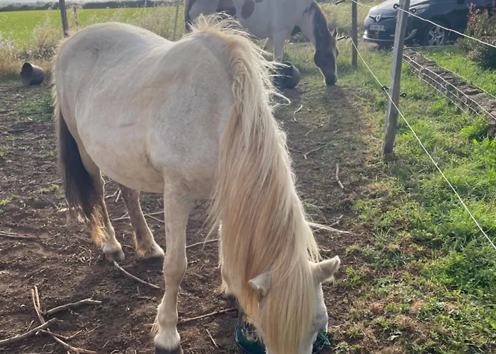 La Ptite Pause Pensionat