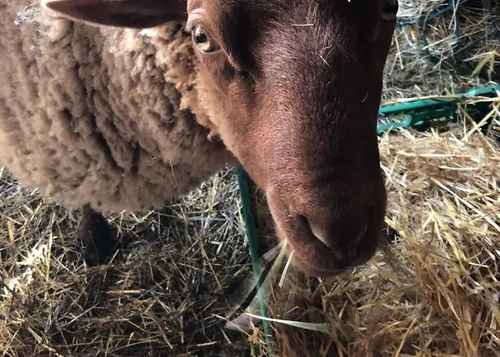 La Ptite Pause 3* Jard-sur-Mer