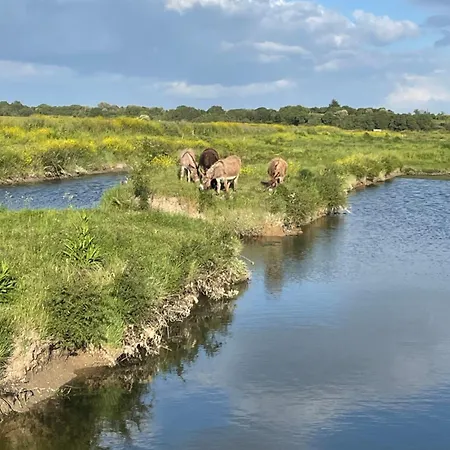La Ptite Pause Affittacamere