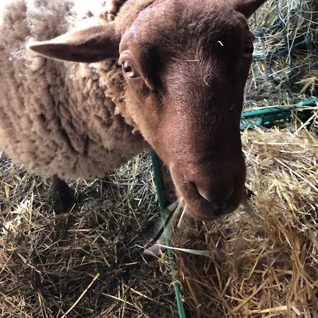 La Ptite Pause 3* Jard-sur-Mer