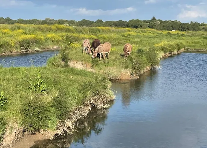 La Ptite Pause Gasthof